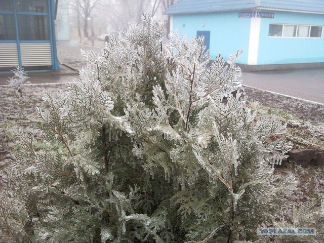 Ледяная зима