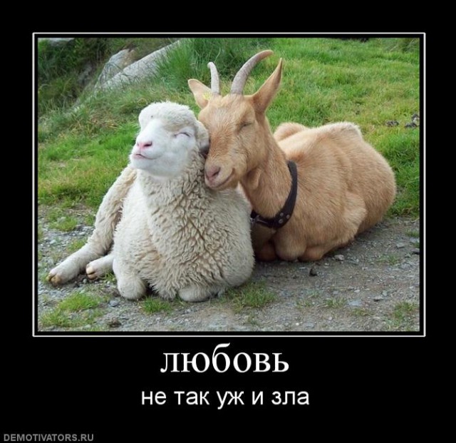Вы хотите "демов"?