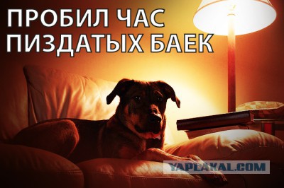 Как я на дачу съездил