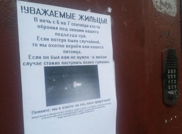 Ужасы и приколы из соцсетей 18+