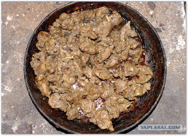 Водяной кролик