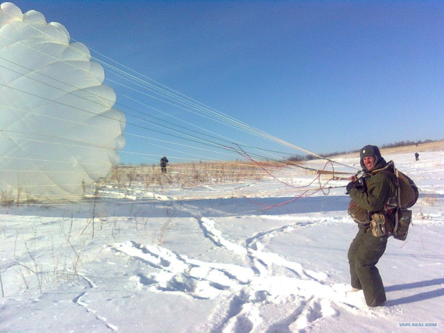 С Днем ВДВ, посоны!