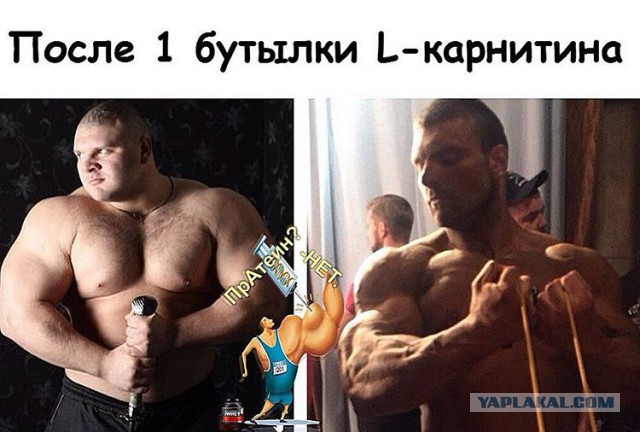 Никогда не понтуйся в спортзале