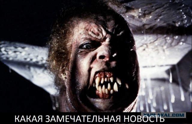Что строят российские военные в Арктике? (17 фото)