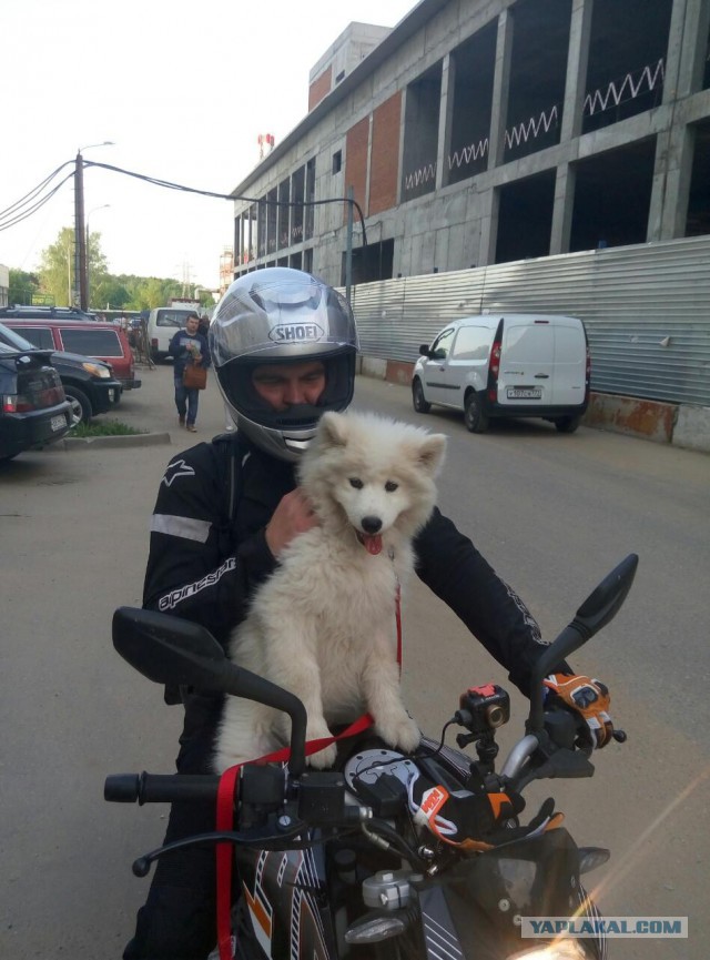 Четверг!