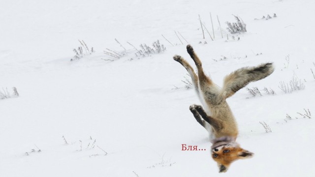 Лучшие фотографии уходящего года от всемирного агентства новостей!