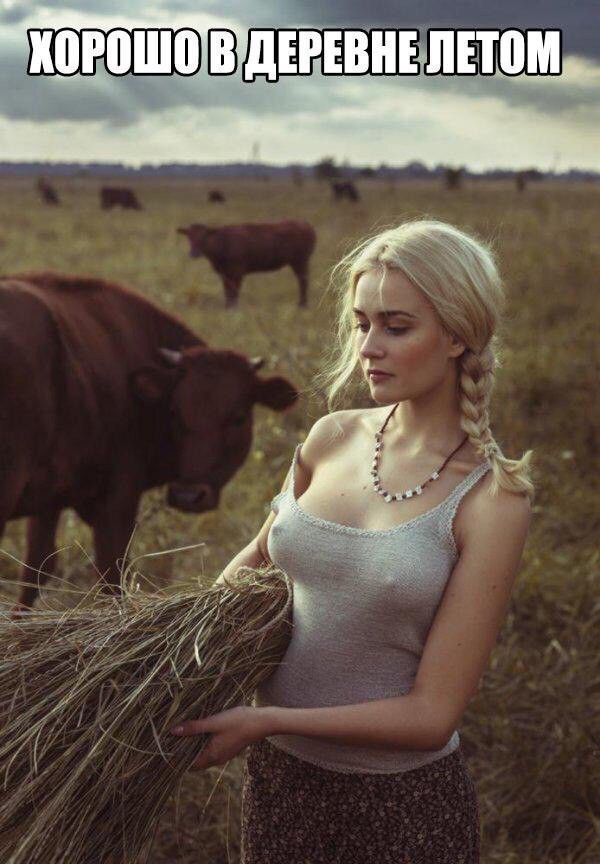 Картинки. Интересные, старые и не очень.