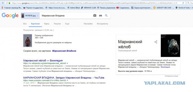 Продам шиншилловую шубу. Киев