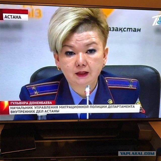 Самые забавные политические прически