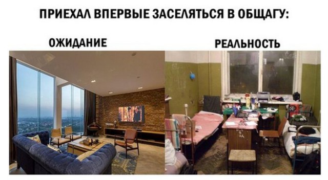 Подборка интересных и веселых картинок