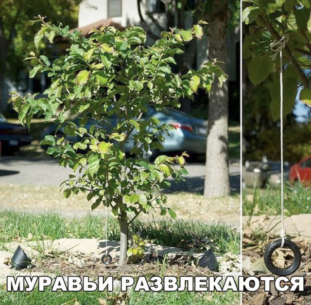 Нестандартный юмор