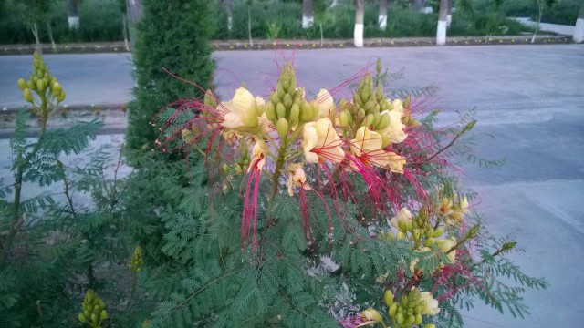 Узбекистан. Мои впечатления