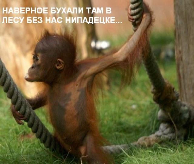 Фотокомикс: А куда ушла жена?