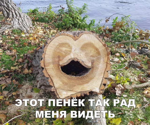 Нестандартный юмор