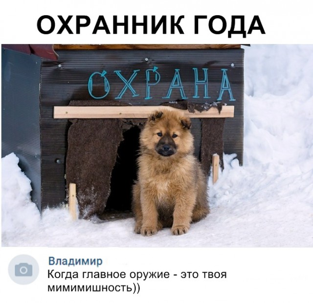 Прикольные картинки абавсём