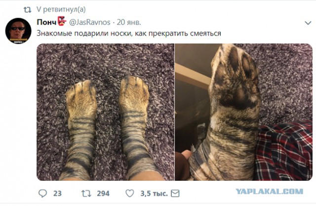 Прикольные комментарии и высказывания из Сети 23. 01.