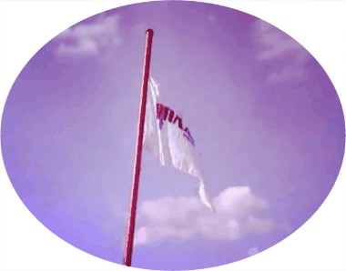 Флаг ЯПа