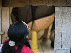 Они уже здесь...
