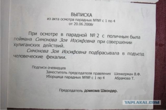 Злая Зоя