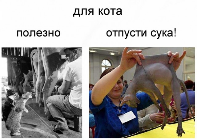 Полезное и не полезное