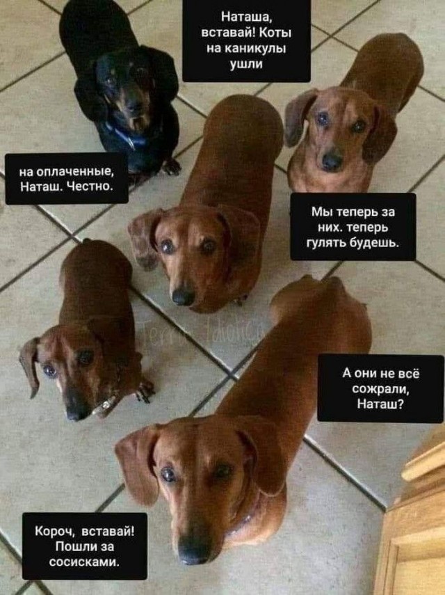Не добавленные в комменты картинки