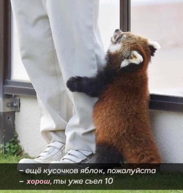Картинки и всякие жизненные фразы