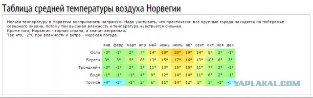 Лесная норвежская: Кошка-викинг с трёхслойной шубой научилась выживать при зубодробительных морозах