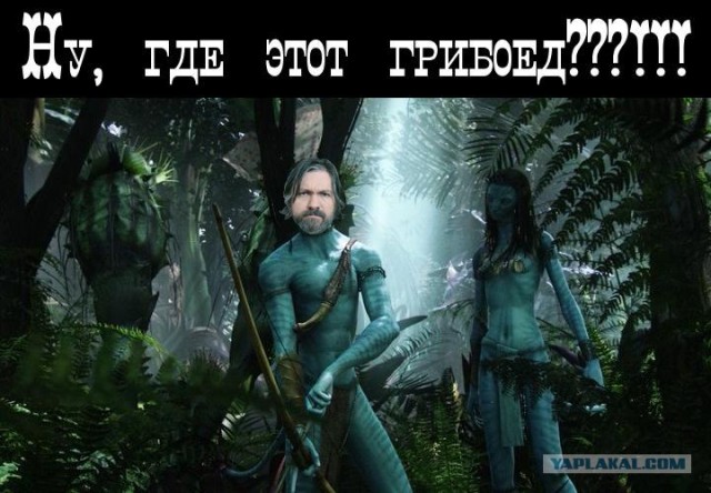 Фотожаба: Да грибам!