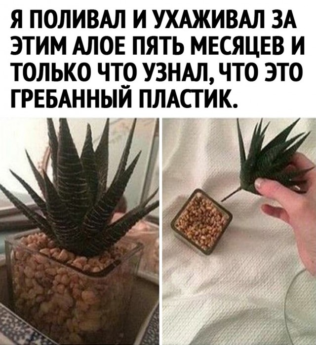 Картинки и мемы для настроения 025