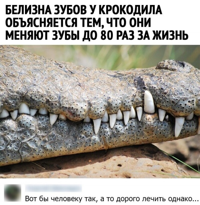 Картинки и мемы для настроения 009