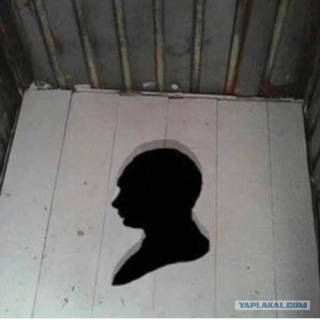 Психанул. Дачный сортир «king size»