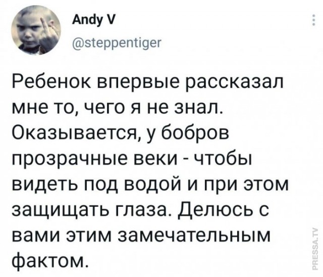 Картинки и мемы для настроения 029