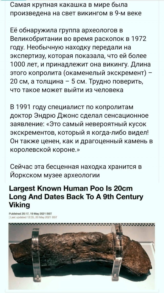 Как выглядит самая большая какашка в мире Картинки всяческие 02.06.2021 - ЯПлакалъ
