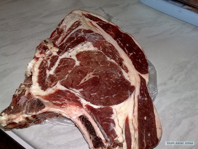 Чинахи по Дженибековски.