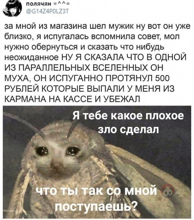 Так себе картинки 12.11.21