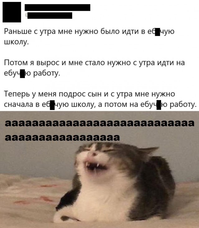 Баяны бабыЯны