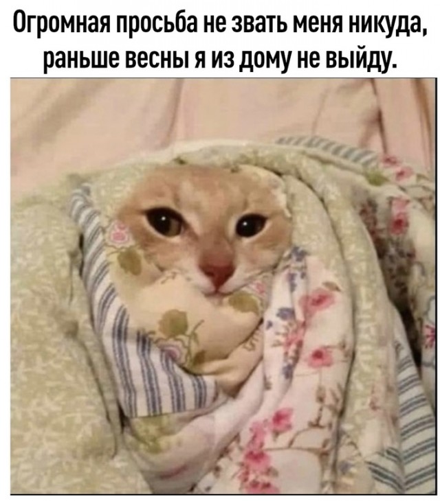 Картинки и мемы для настроения 01.12.2021