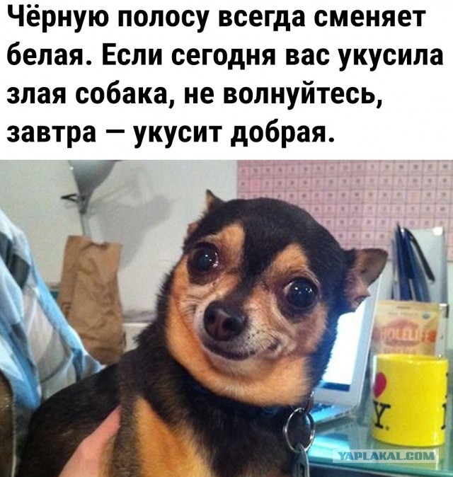 Почему россияне злые и обижены на жизнь?