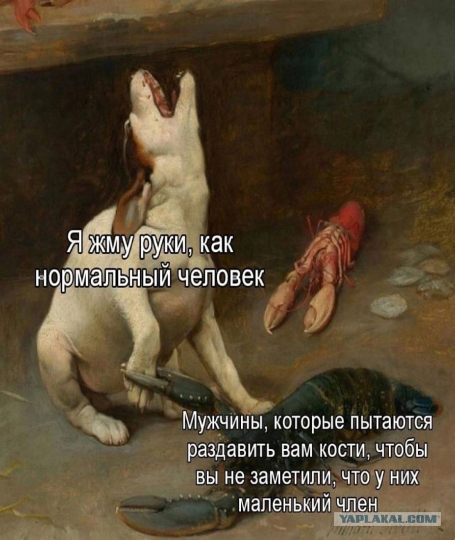 Картинки аморальные и всякие разные - 25