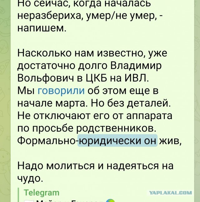 Пандемия. Коронавирус и съехавшие крыши. Россия и мир. Часть 31.