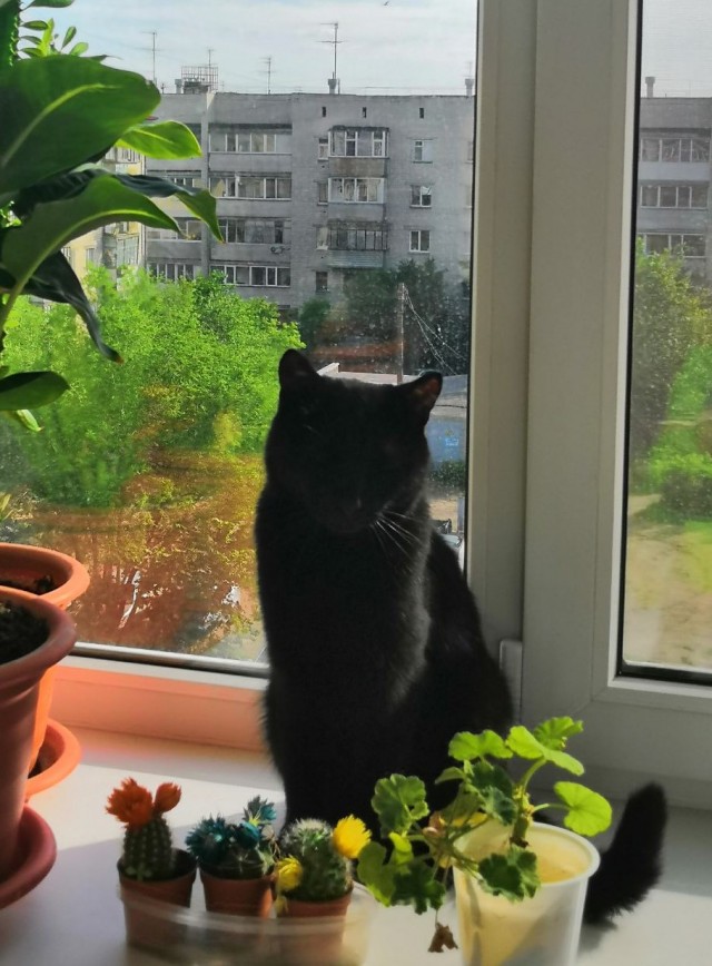 Растопили сердце малышки