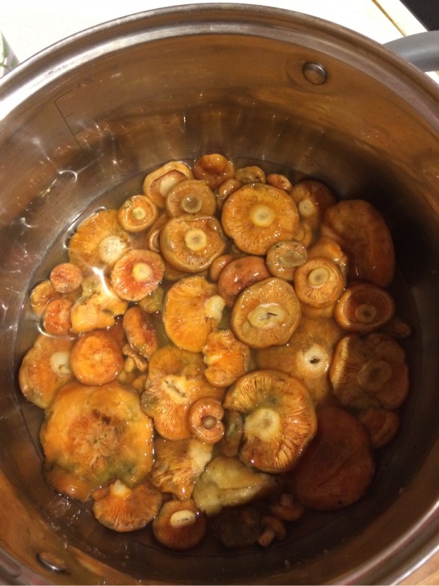 Грибочки