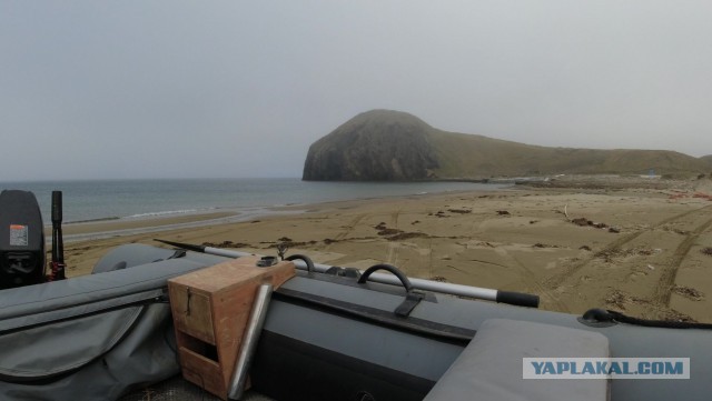 Кунашир. Море. Рыбалка