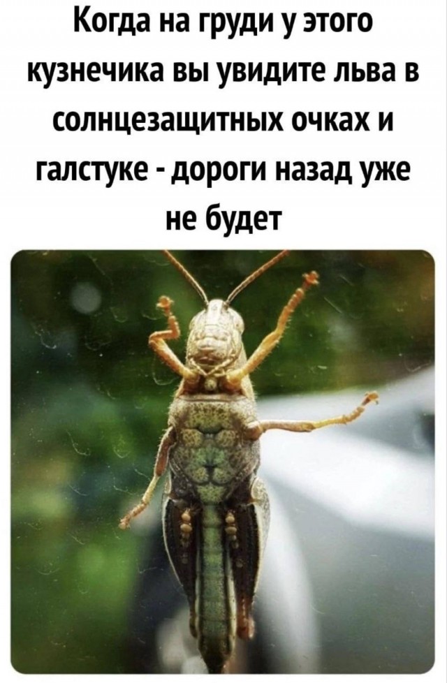 Картинки аморальные и всякие разные - 31