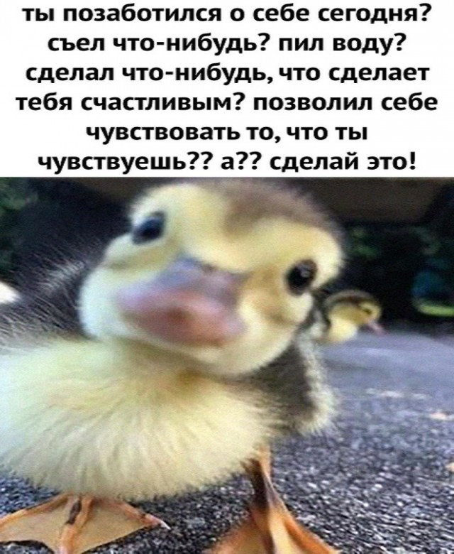 Картинки и мемы для настроения - 29