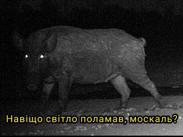 Обстрелы Киева и других городов Украины