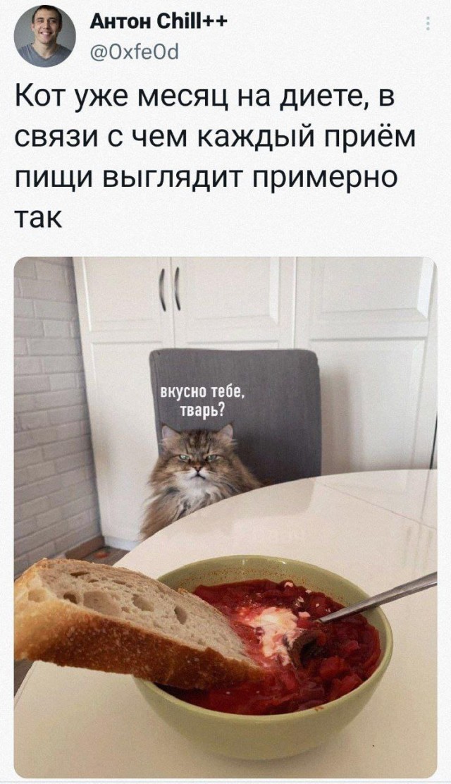 Деградация лайт 14.10.2022