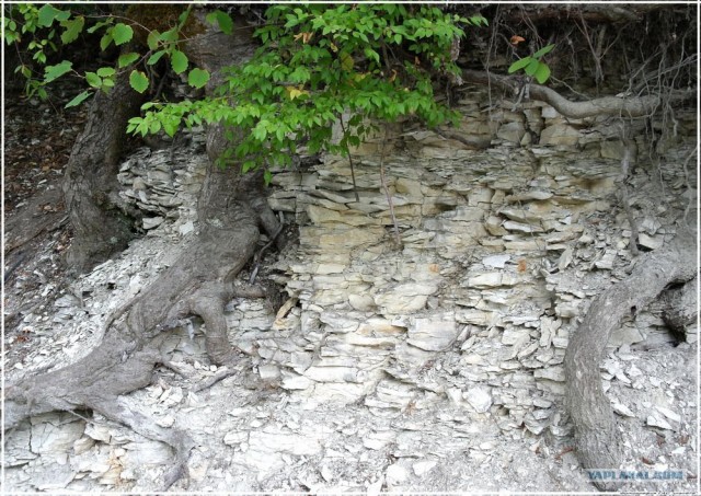 Крым. Новоульяновка. Водохранилище.