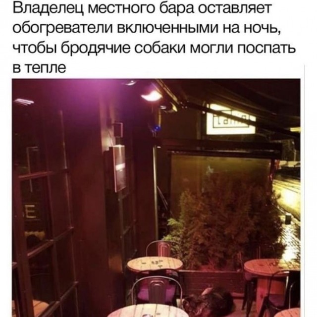 Чуток картинок 22.01.23
