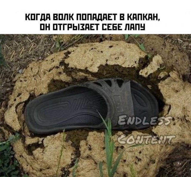 Нуштош 10.08.2023